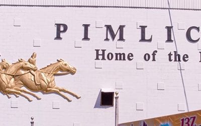 Preakness award winners announced