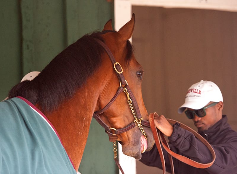 goldencents and krigger-mjc