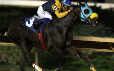 Claimbox: May Mid-Atlantic claiming stats