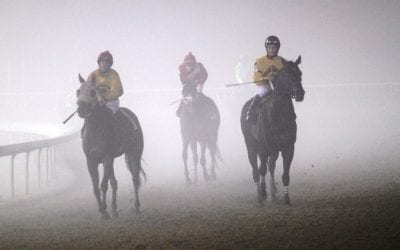 Colonial Downs readying for summer return