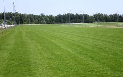 Va. Racing Commission told of progress at Colonial Downs