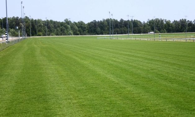 Petty out as Virginia Thoroughbred Association director, sources say