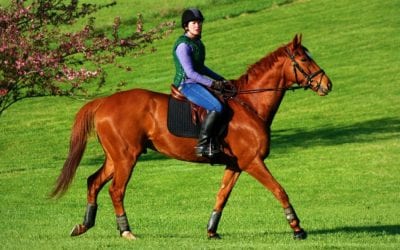 MHBA announces BackStop aftercare account