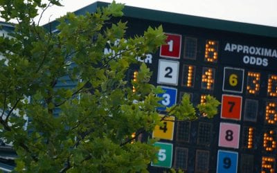DRF Bets acquired by 1/ST