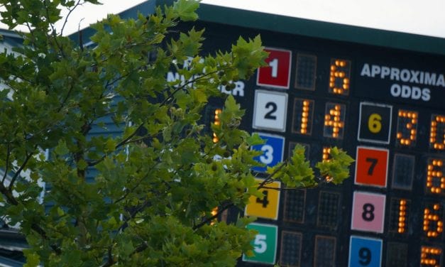 DRF Bets acquired by 1/ST