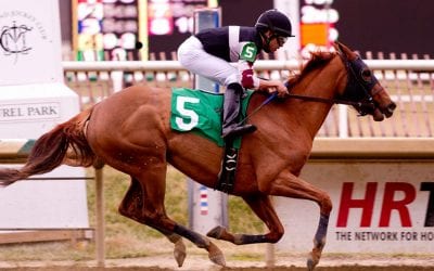 Sagamore homebred looking to author a “Great Story”