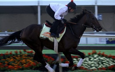 Nick Hahn and the search for the perfect Derby julep