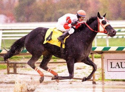 BensCatLRLDash-mccue