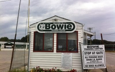 Bowie may get another life, as a “world-class” training center