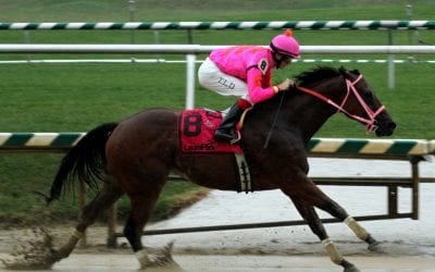 Immortal Eyes runs sixth