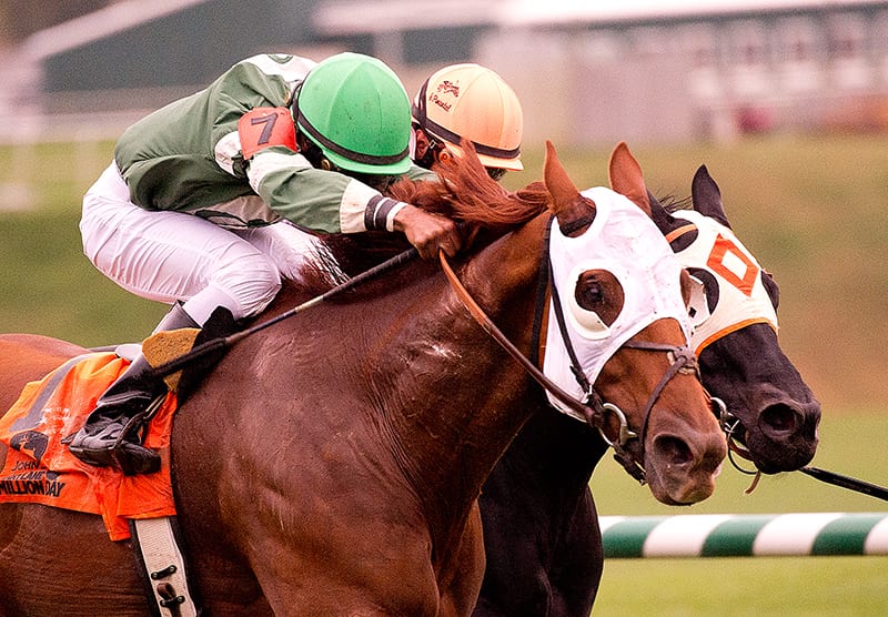 Repeater Roadhog runs down Ben’s Cat in Maryland Million Turf