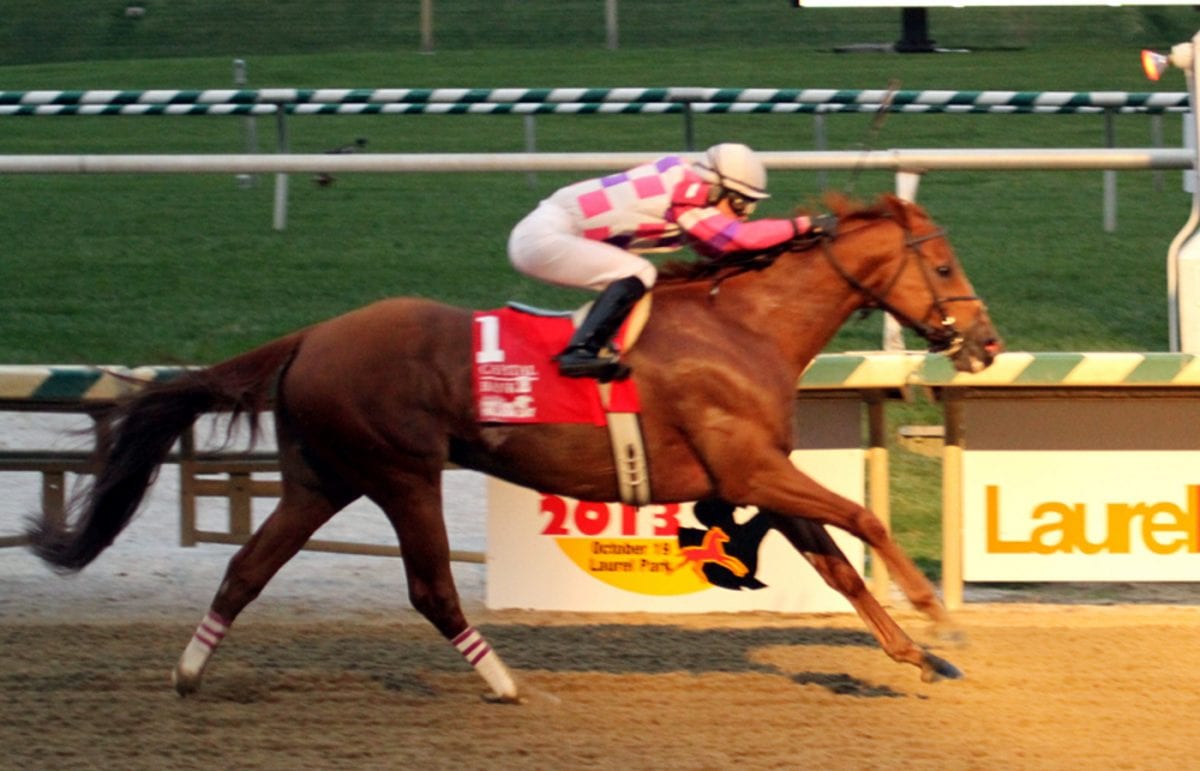 Laurel Park stakes draw nearly 120 nominations