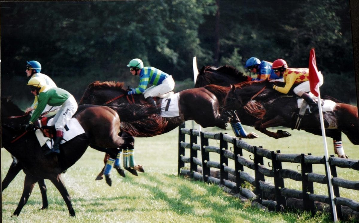 Gold Cup’s mobile wagering experiment may strengthen Virginia racing’s roots