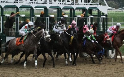 Midlantic equine fatality rate declined in 2020