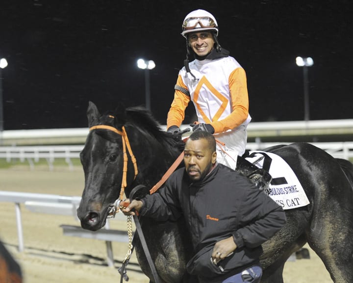 Ben’s Cat fires return bullet