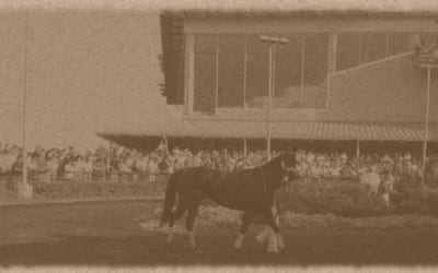 More charges for trainer Murray Rojas