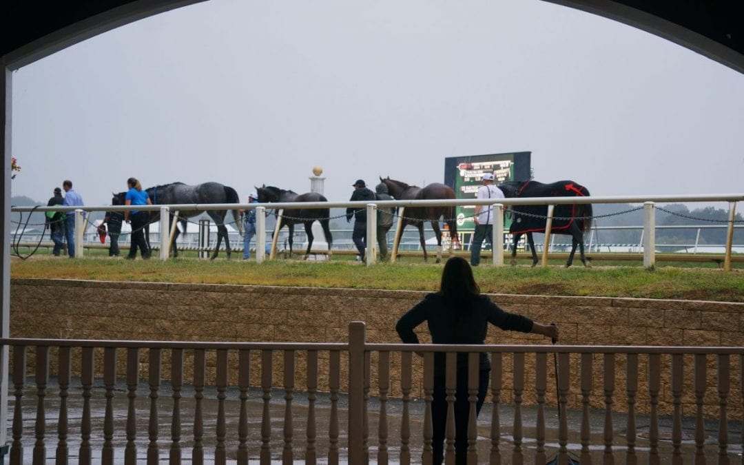 1ST Racing bans jockey Mychel Sanchez