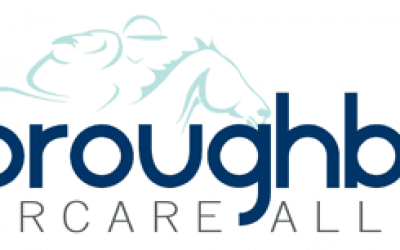 New board members named for Aftercare Alliance