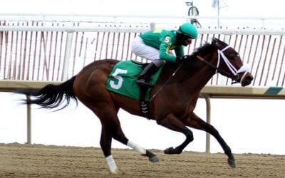 LookBack: Weekend RaceBrief