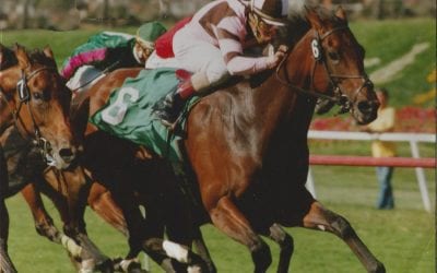 George Rowand, owner, breeder, writer, dreamer passes