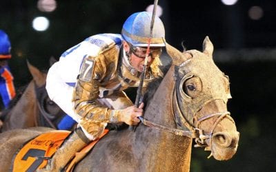 West Virginia racing ducks decoupling bill