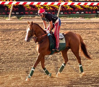 CaliforniaChrome05-13-14mccue