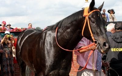 Ben’s Cat threepeats in Fabulous Strike