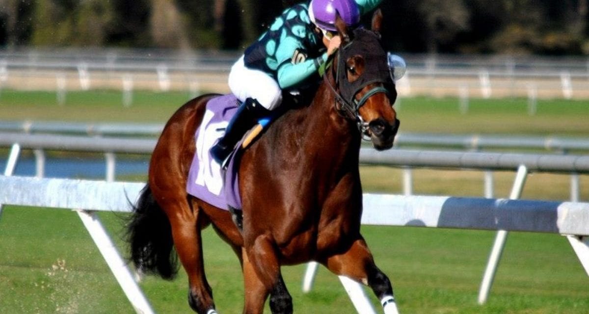 Jockey Carol Cedeno strikes a blow for working moms