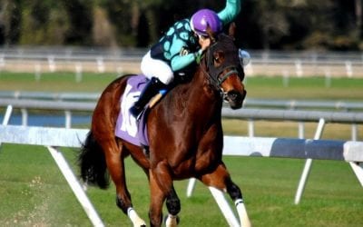 Cedeno hoping for fifth Delaware Park riding title