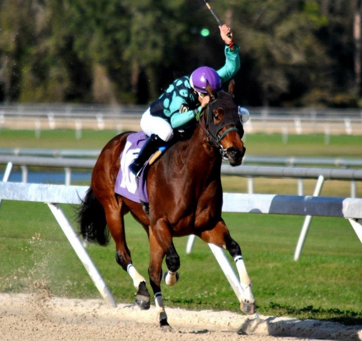 carolcedenoatyouscaled