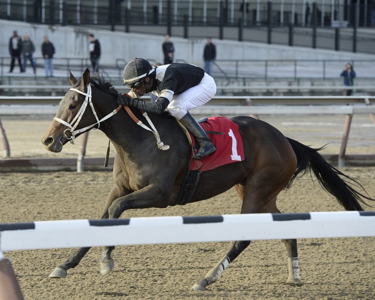 Runners look to use Obeah as Del ‘Cap springboard