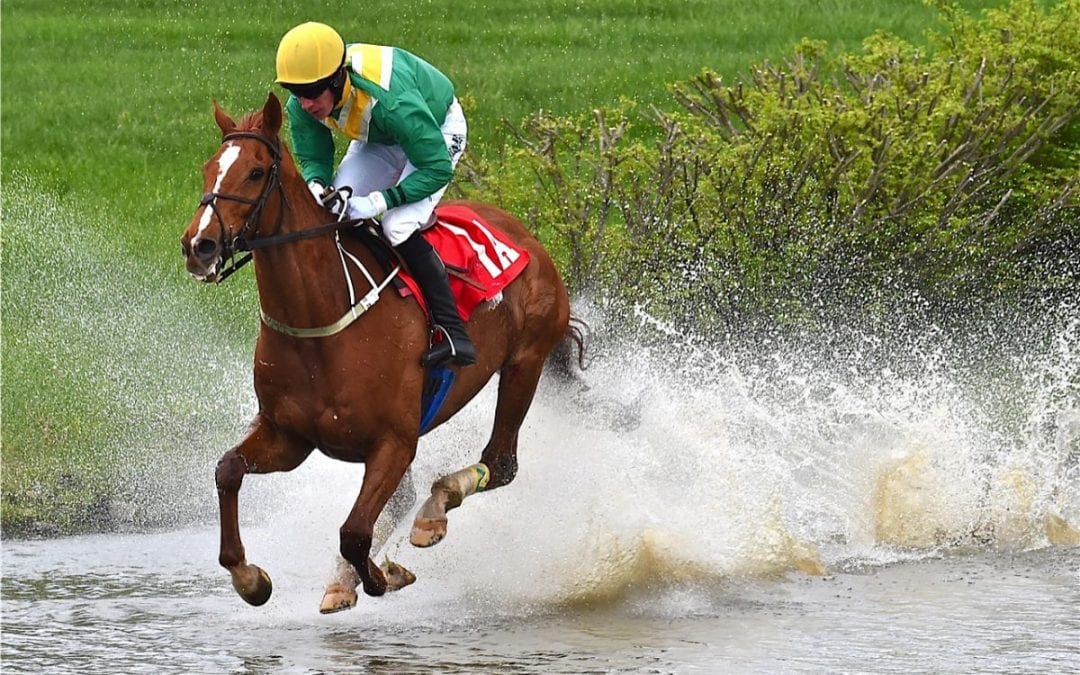 Maryland-bred steeplechase bonuses unveiled