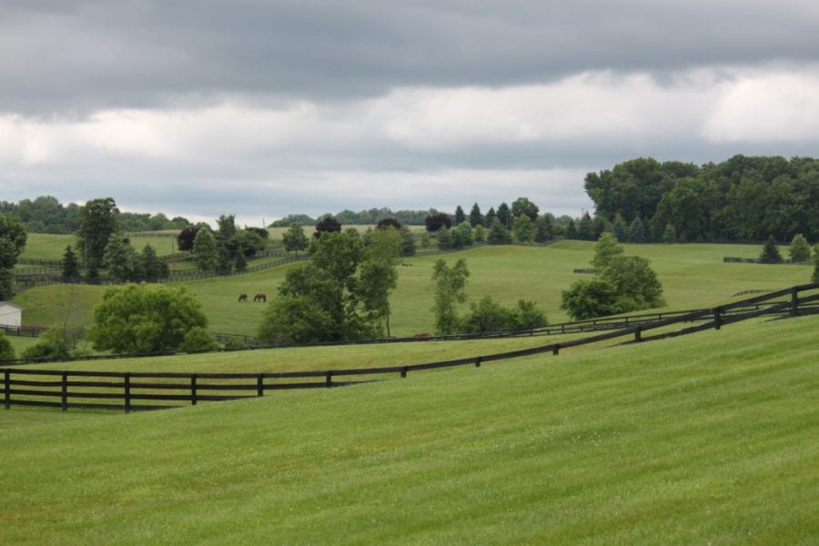 For Tonalist, little goes to plan – but it all works out