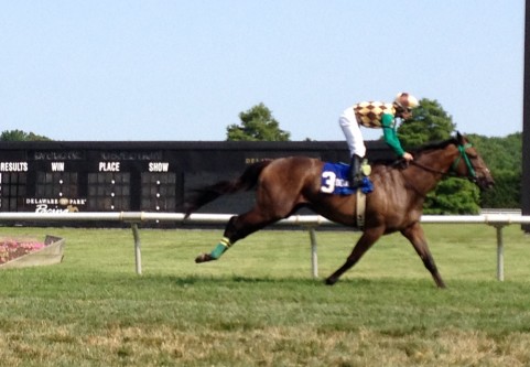 hardestcorecapehenlopen