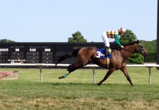 hardestcorecapehenlopen