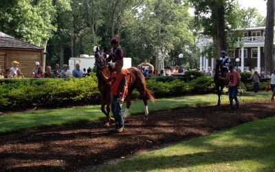 Dark Nile looks to navigate graded company in Delaware Oak