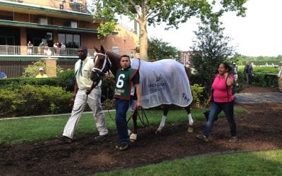 Delaware state vet outlines steps taken to prevent spread of strangles