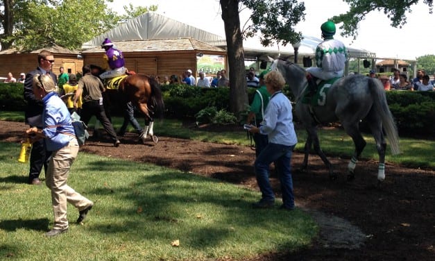 Vet in Suffused case fined, removed from Lasix duty