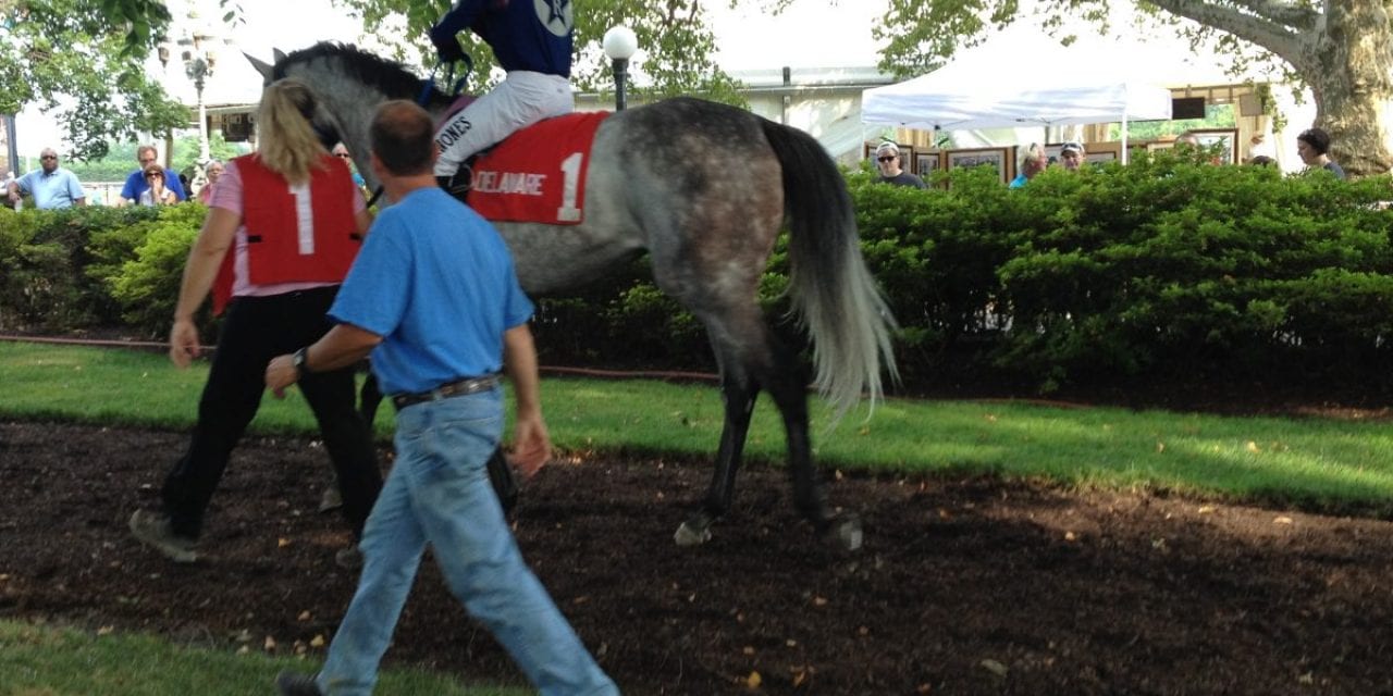 Mark Reid to train string at Delaware Park
