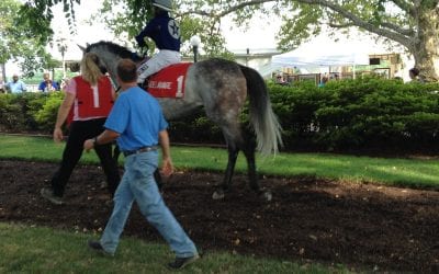 Jockey Cedeno sets single-day Delaware win record