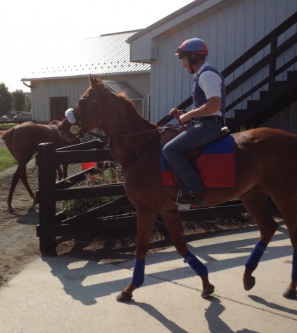 mainsequence