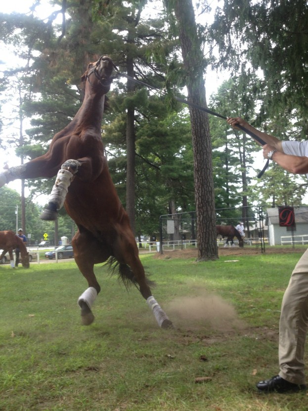 thebigbeastcarolfisher