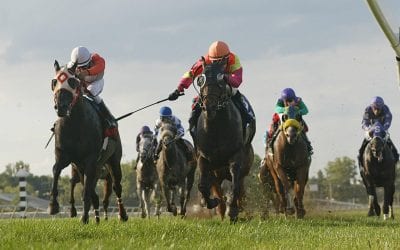 Preciado’s trainer license to be revoked