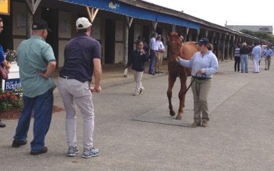 Optimism the order of the day on eve of Fasig-Tipton yearling sale