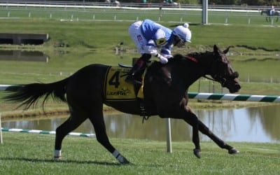 Md. Million, WVBC Wagering Guides available
