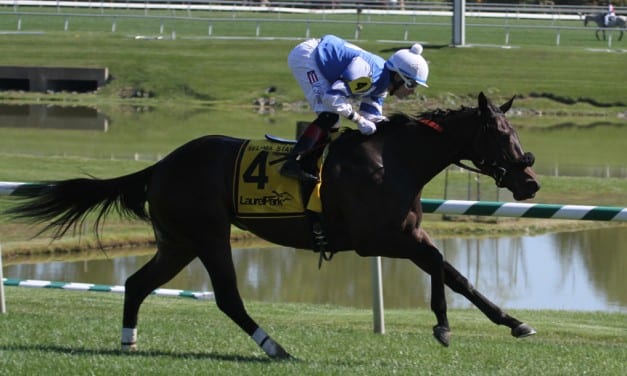 Selima Stakes odds and analysis