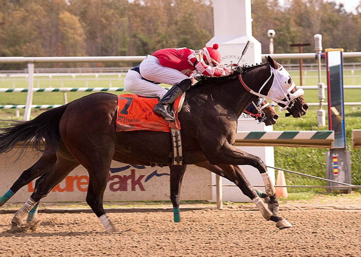 For trainer, Maryland Million win a “dream come true”