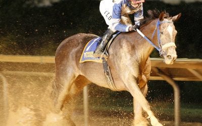 Travis Stone to announce WV Breeders’ Classics