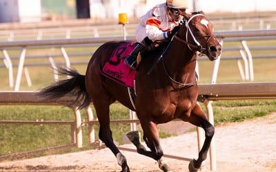 Cinco Charlie rediscovers winning ways