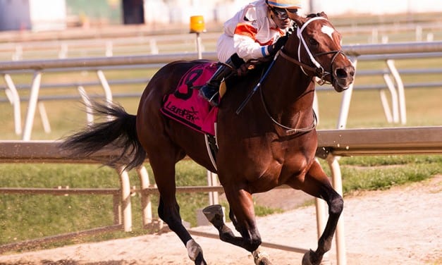 Cinco Charlie rediscovers winning ways